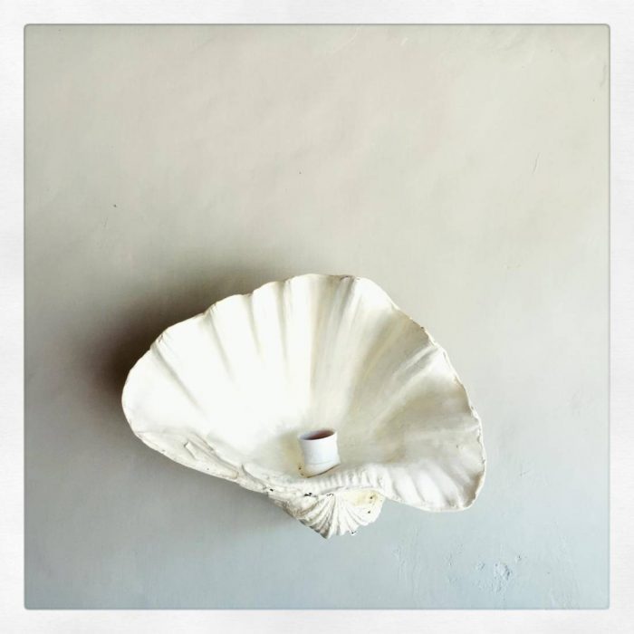 Fluted Shell Wall Sconce- White